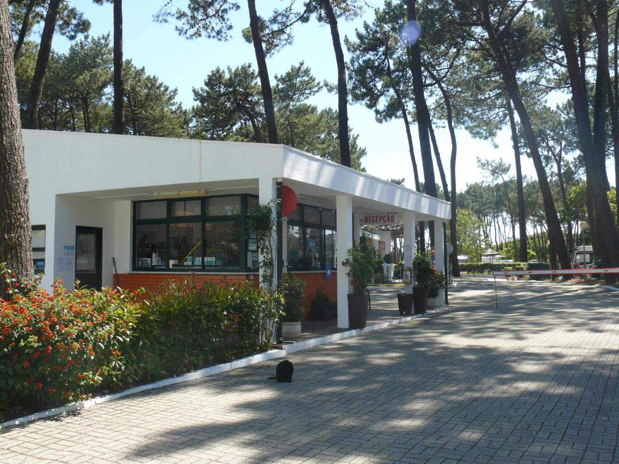 Parque De Campismo Orbitur Viana Do Castelo Hotel Exterior photo